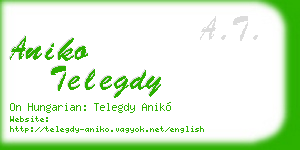 aniko telegdy business card